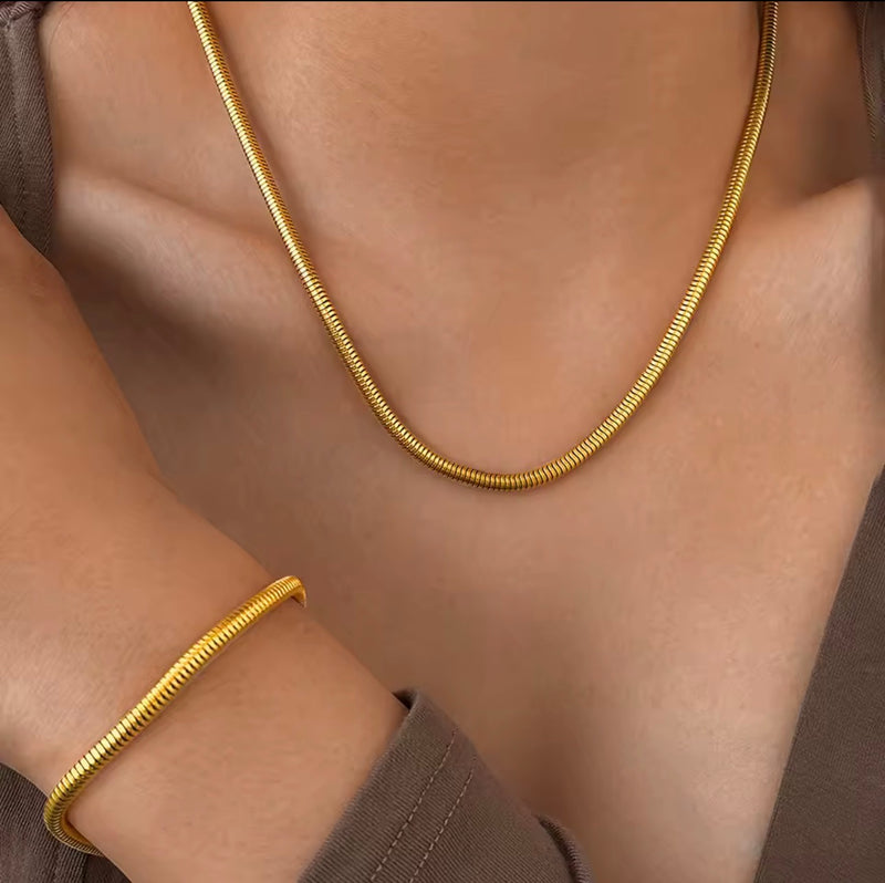 Stainless Steel Snake Chain Necklace & Bracelet Set – Gold & Silver