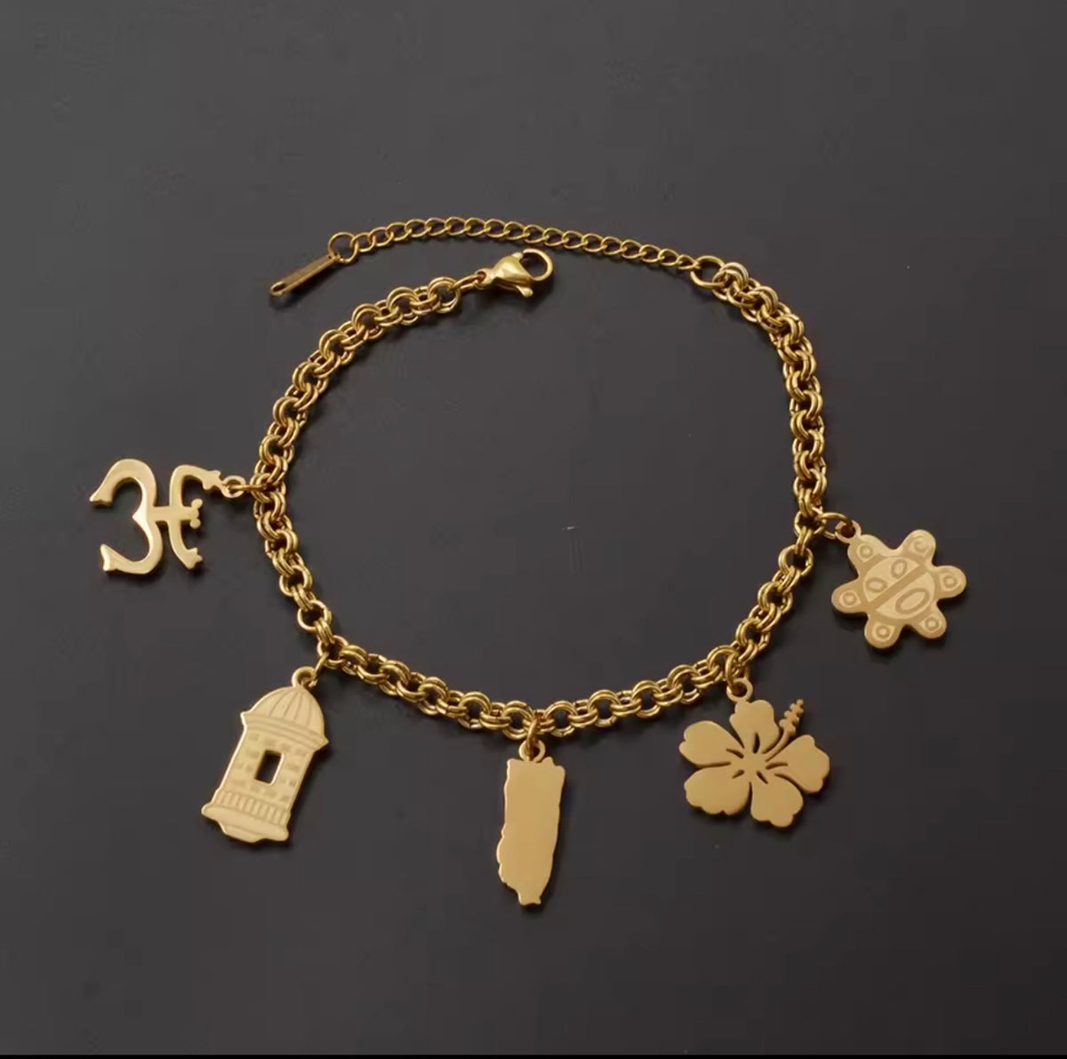 Puerto Rico Culture Charm Bracelet - Stainless Steel - 4 Styles Available
