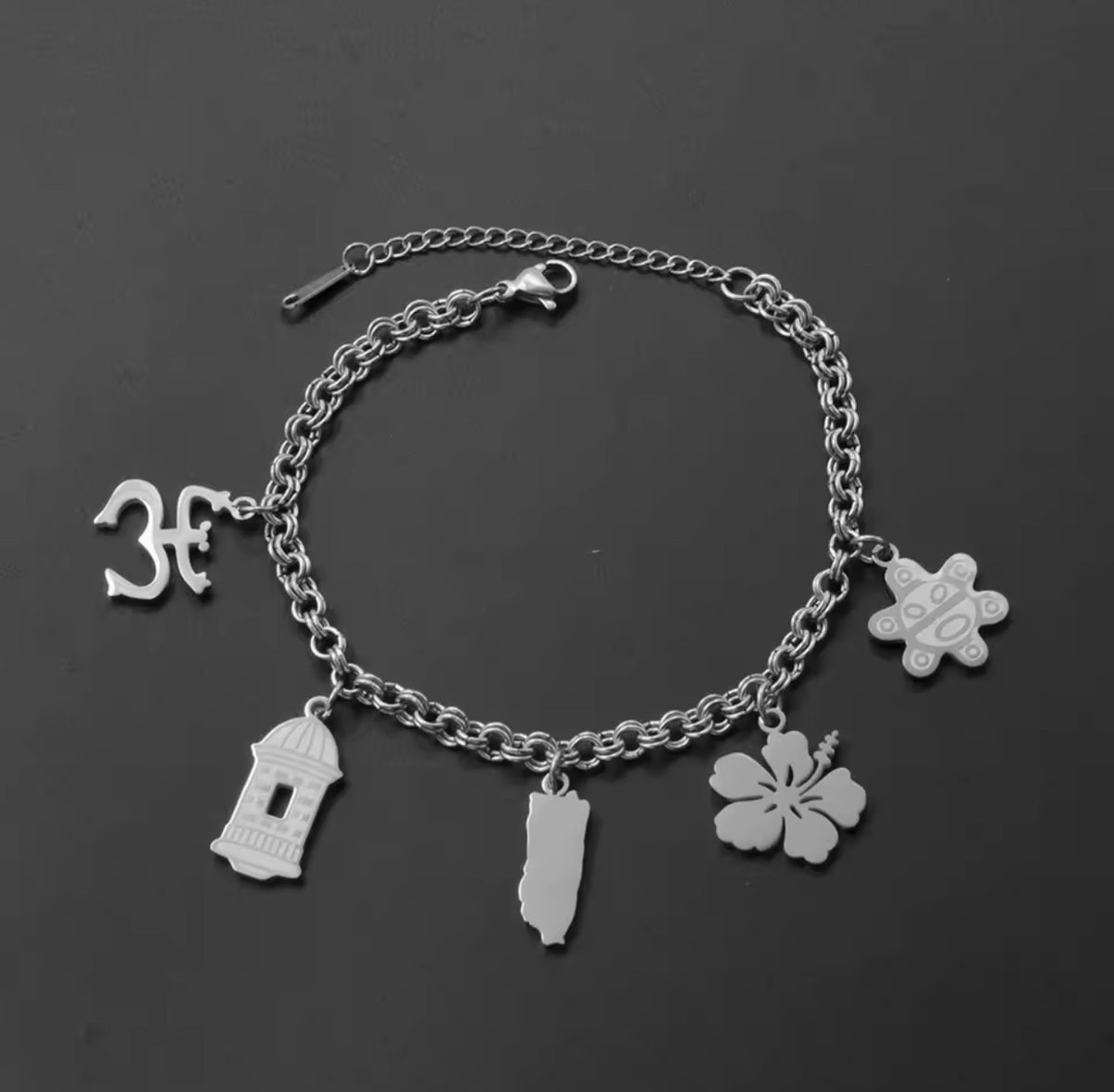 Puerto Rico Culture Charm Bracelet - Stainless Steel - 4 Styles Available